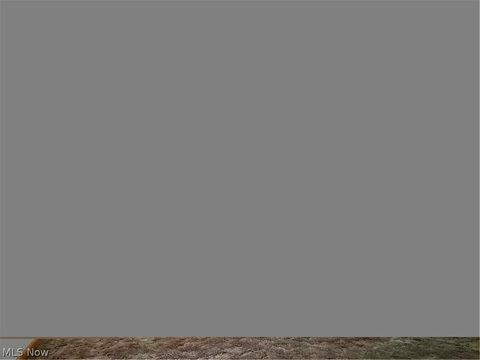 Tiny photo for 440 Medina Road, Lodi, OH 44254 (MLS # 5210624)
