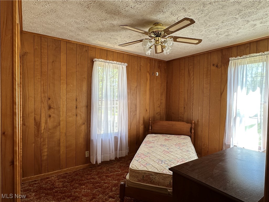 375 Pearl Street, Leetonia, Ohio image 19