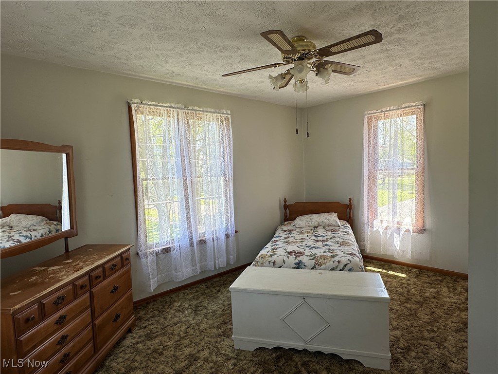 375 Pearl Street, Leetonia, Ohio image 17