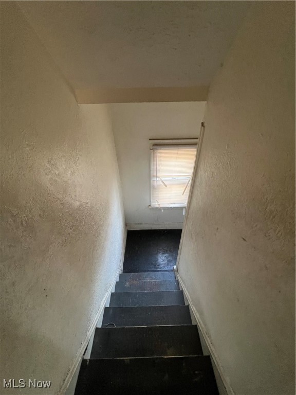 Brugge Farms - Residential Income