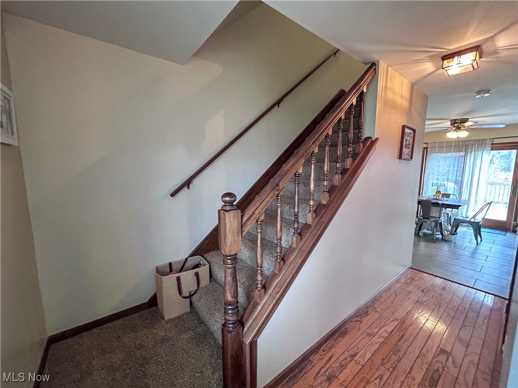 3457 Forty Second Street, Canfield, Ohio image 3