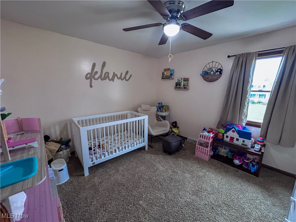 3457 Forty Second Street, Canfield, Ohio image 19