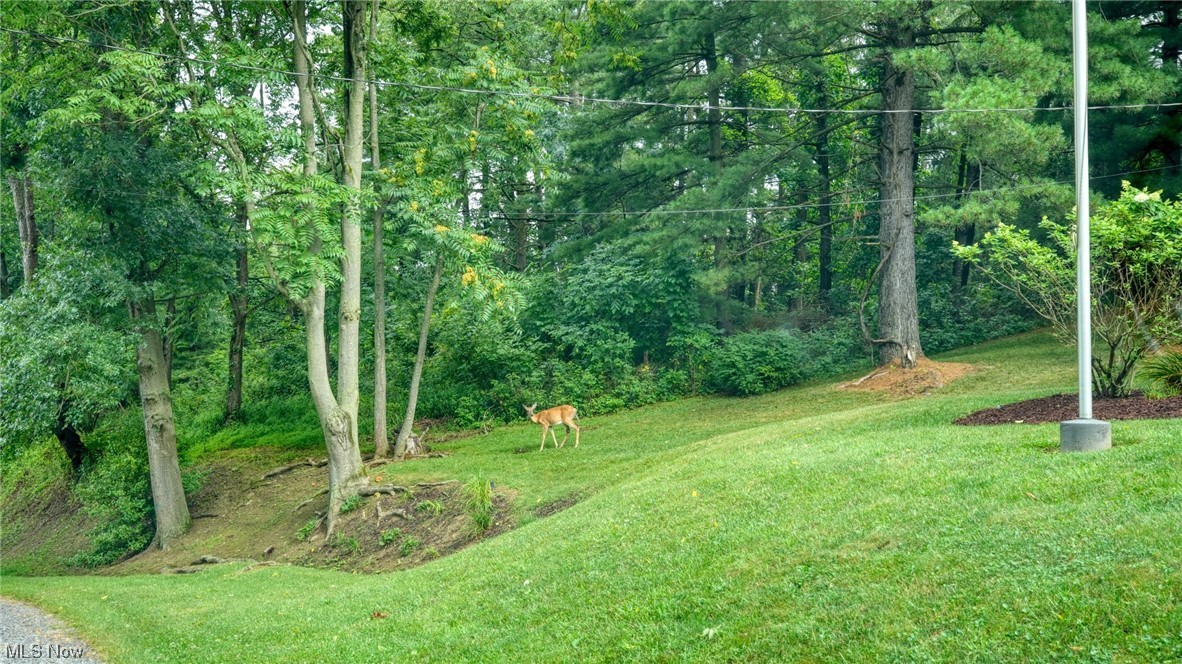 Oakland Place Add - Residential