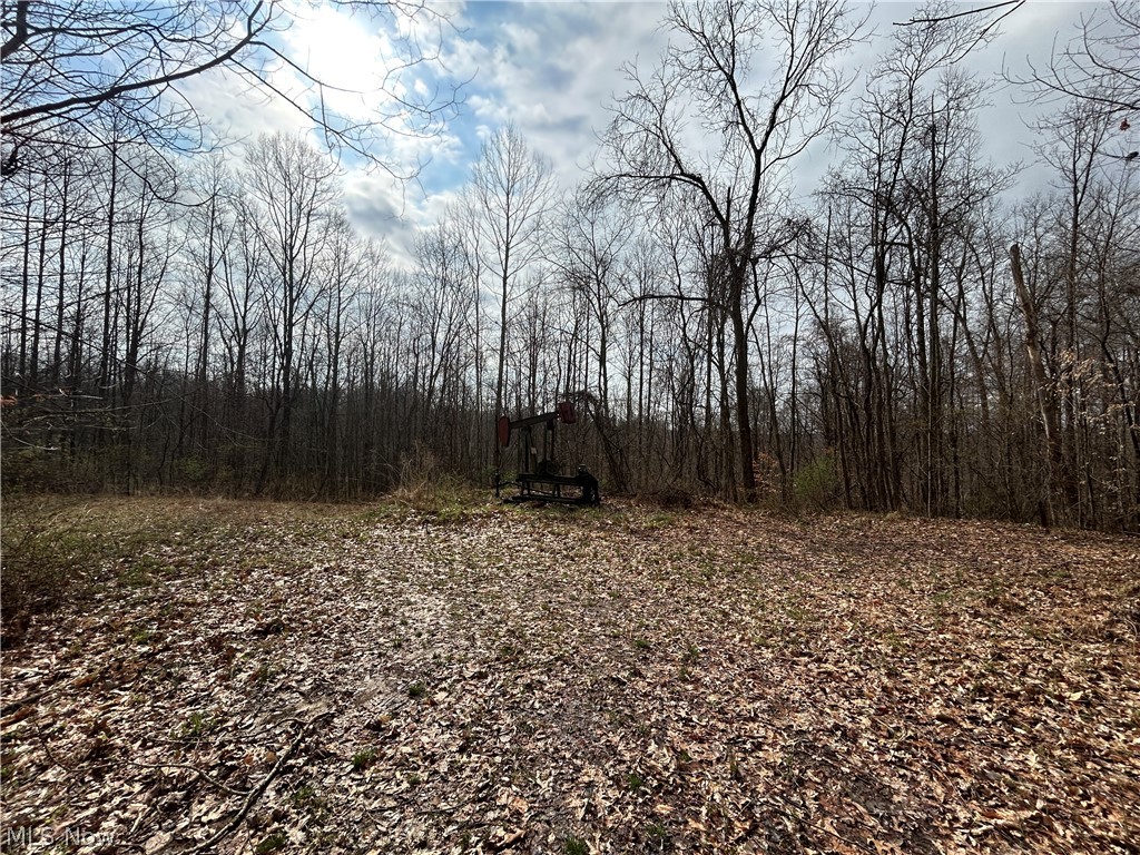 Wilbur Bush Road