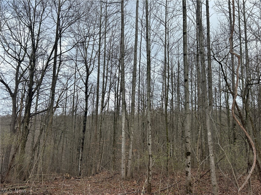 Wilbur Bush Road