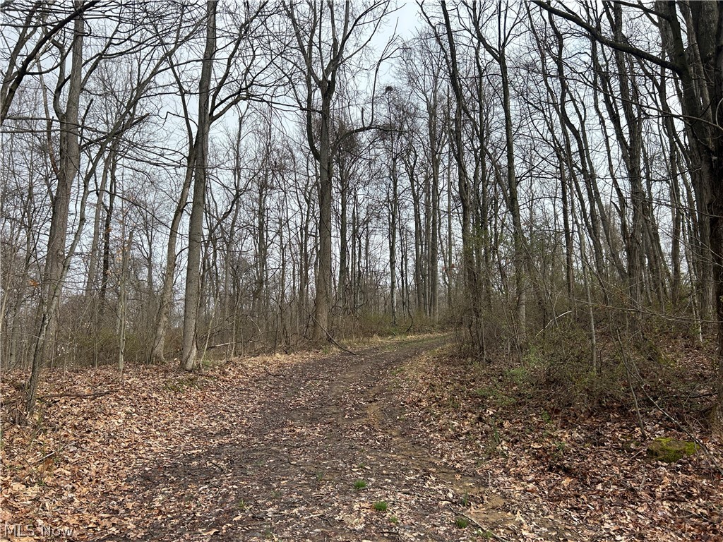 Wilbur Bush Road