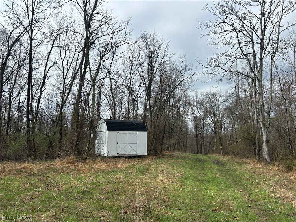 Wilbur Bush Road
