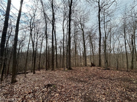 Vacant Land For Sale - Wilbur Bush Road<br/> Crooksville, OH 44606