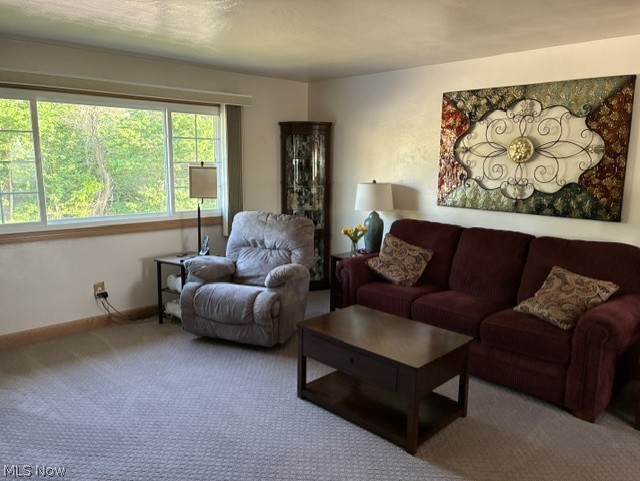 Barone Manor - Residential