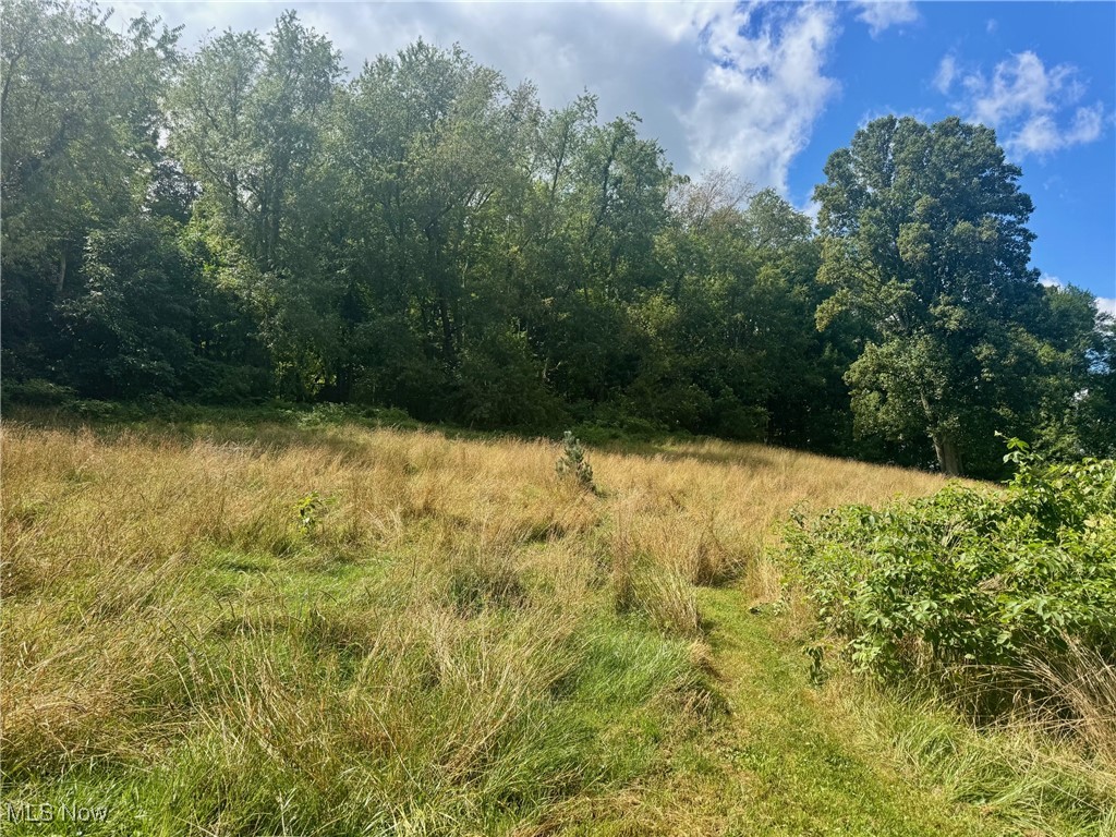 Village/Bellville - Residential