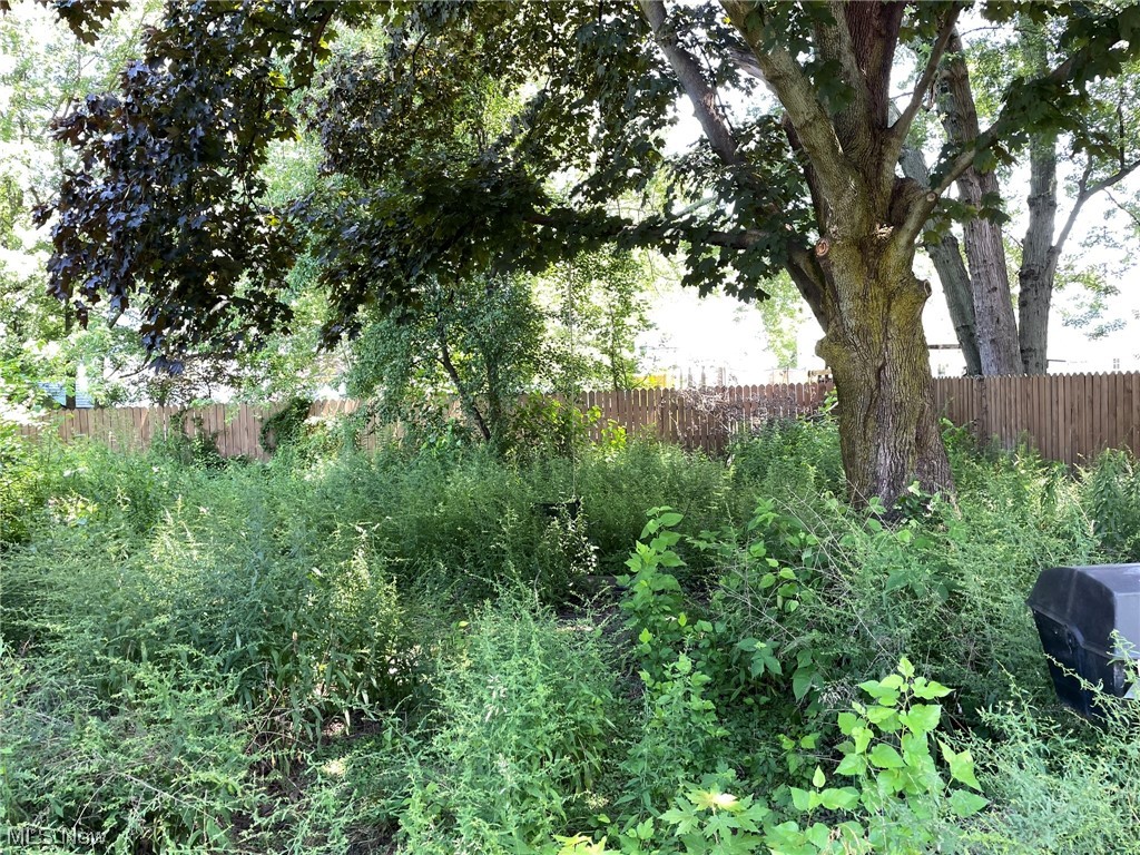 Hiram Lake - Residential