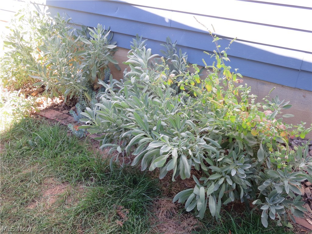 Carpenter Heights Allotment 04 Ad - Residential