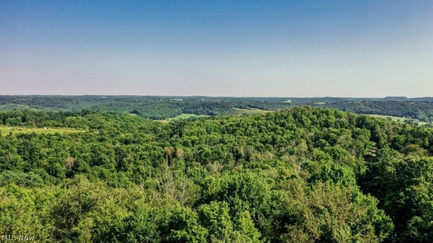 Auction 9/7: A tremendous land offering in Holmes County with excellent hunting, mineral rights, and good building sites. This 87 acres offers parcels from 9 to 23 acres with good trails throughout. When you have the chance to buy proven hunting land, you better make your move. This land provides many fine qualities including mineral rights. Immediate hunting rights will be granted to the buyers. Walk this land at your convenience and pick your own building site, hunting spot, or just some “good ole American soil” to invest in! Parcel 1: 13.693 Acres w/ 87’ frontage. Parcel 2: 20.763 Acres w/ 51’ frontage.Parcel 3: 9.223 Acres w/ 638’ frontage Parcel 4: 23 Acres w/ 541’ frontage. Parcel 5: 20.625 Acres w/ 845’ frontage. Terms: 10% nonrefundable down payment day of sale with the balance due at closing. No financing or other contingencies, property sells “AS IS”. Any required inspections must be completed prior to bidding. Sellers to transfer any and all owned mineral rights. Property se