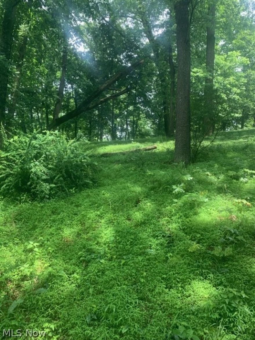 OVERLOOKING UNION COUNTRY CLUB GOLF COURSE !
Seclusion and privacy in the city limits.  2.97 acre lot located among beautiful homes.  This lot opens to a quiet, wooded lot which is perfect for building a home.  50' +/- driveway access of Terrace Rd.  Currently no drive.
