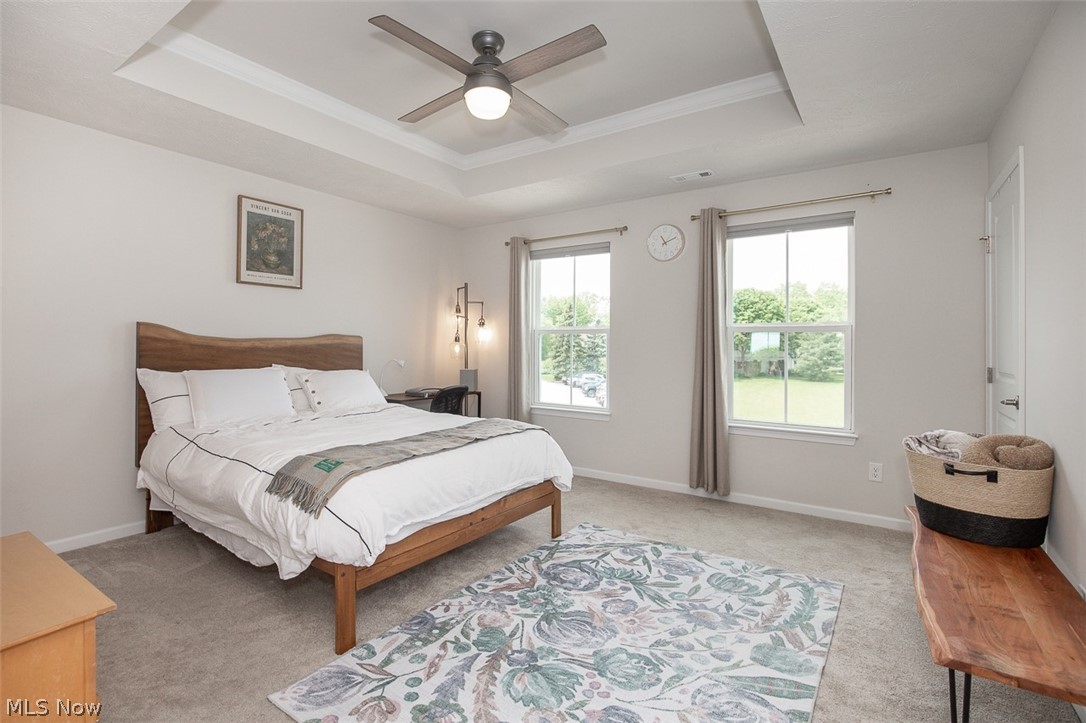 Meadows/Copley Rep #2 - Residential