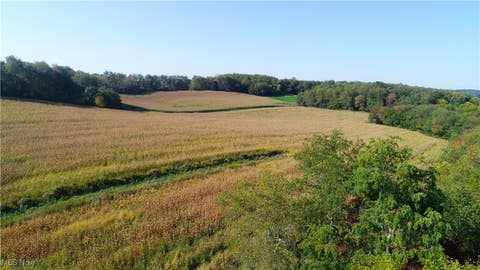Photo for 22540 Bell Church Road