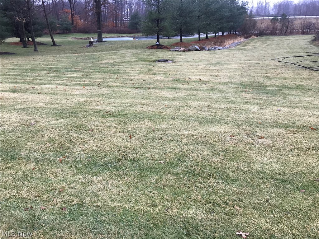 Deer Spring Run 1 - Land