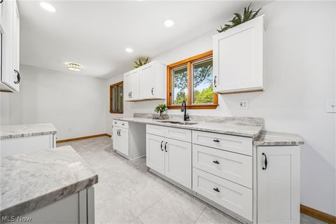 Tiny photo for 202 Briar Hill Drive, Painesville Township, OH 44077 (MLS # 5210590)