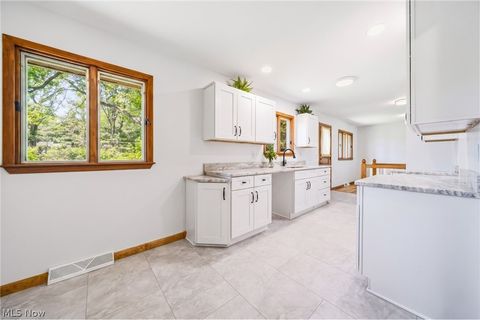 Tiny photo for 202 Briar Hill Drive, Painesville Township, OH 44077 (MLS # 5210590)