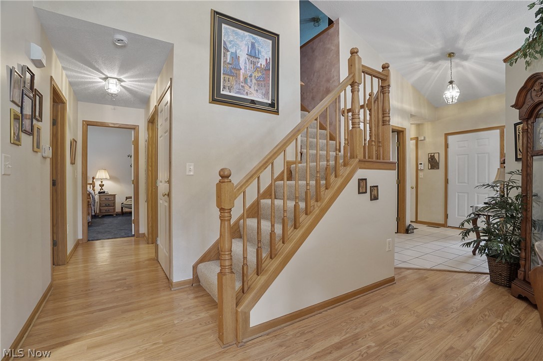 Ridges/Camden Park - Residential