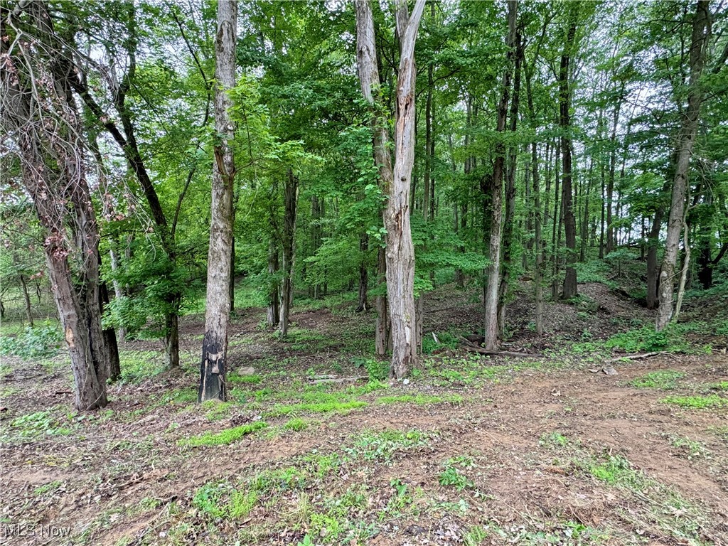 10100 Honda Hills Road, Thornville, Ohio image 33