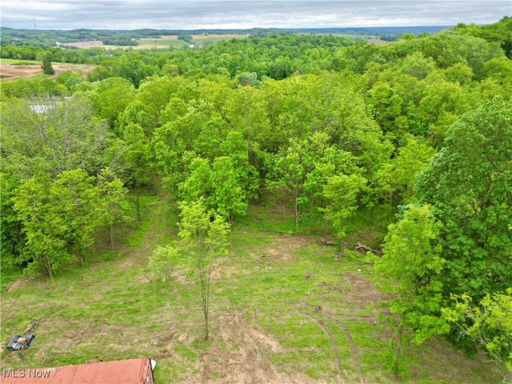 10100 Honda Hills Road, Thornville, Ohio image 9