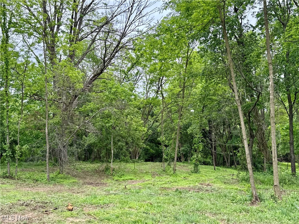 10100 Honda Hills Road, Thornville, Ohio image 8