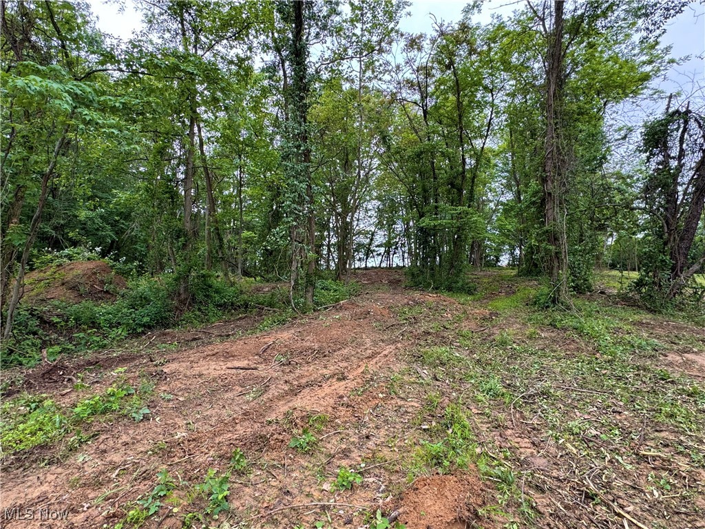 10100 Honda Hills Road, Thornville, Ohio image 23