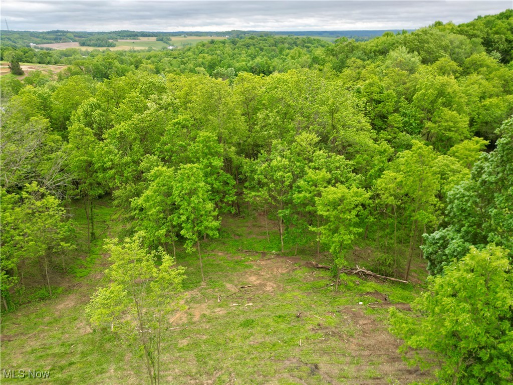 10100 Honda Hills Road, Thornville, Ohio image 4