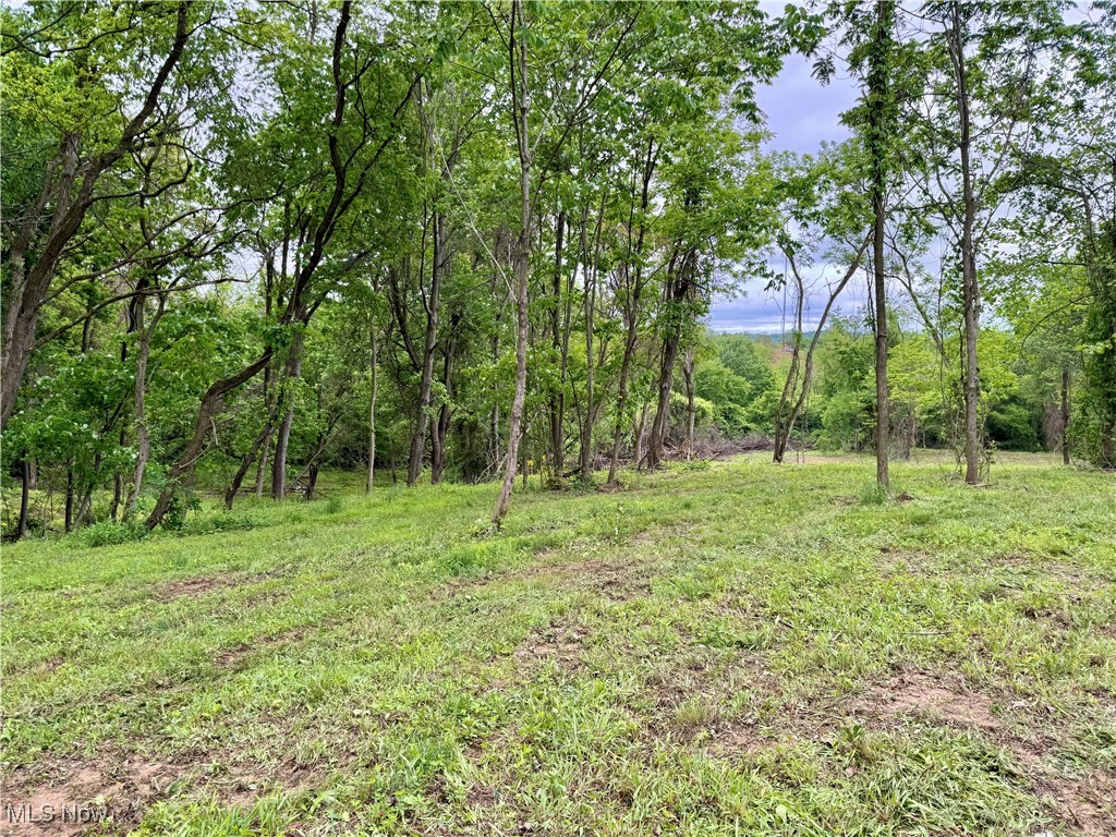 10100 Honda Hills Road, Thornville, Ohio image 6