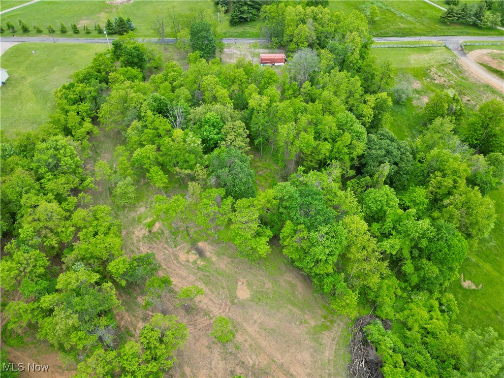 10100 Honda Hills Road, Thornville, Ohio image 15