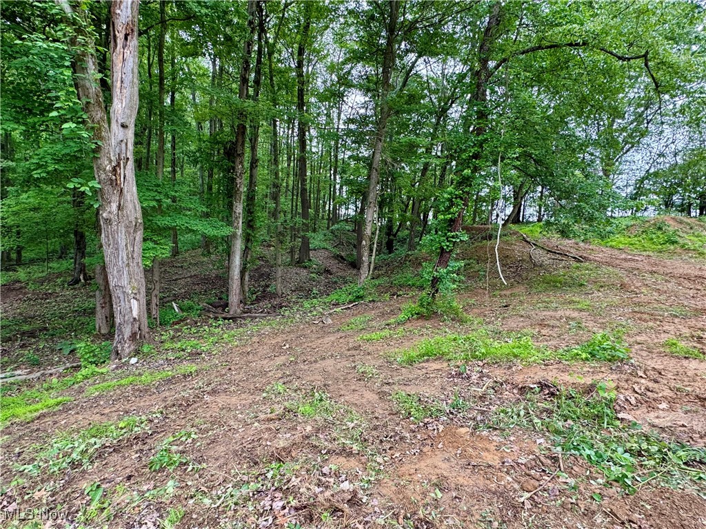 10100 Honda Hills Road, Thornville, Ohio image 32