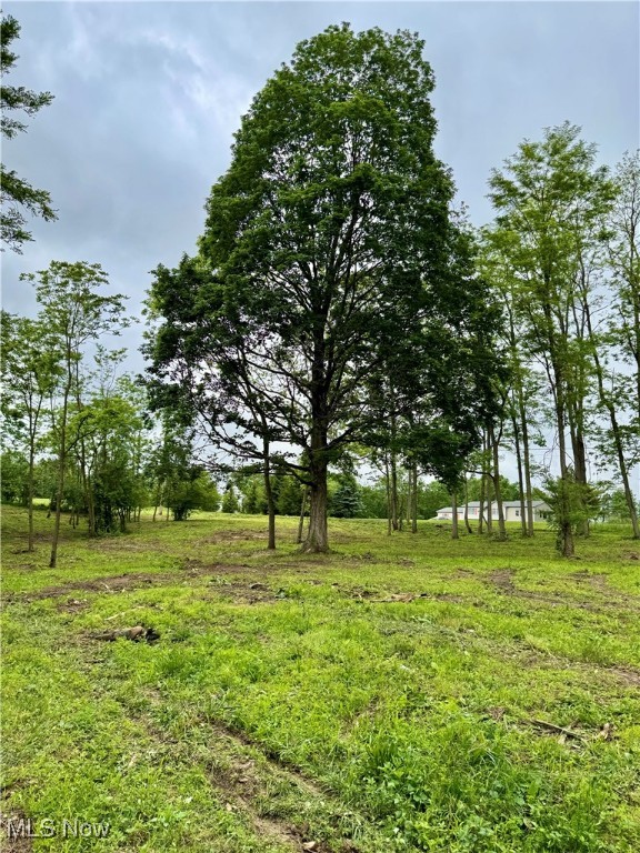 10100 Honda Hills Road, Thornville, Ohio image 1
