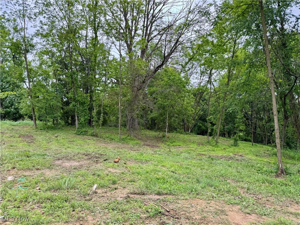 10100 Honda Hills Road, Thornville, Ohio image 39