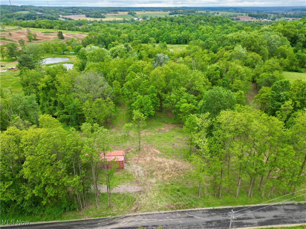 10100 Honda Hills Road, Thornville, Ohio image 11