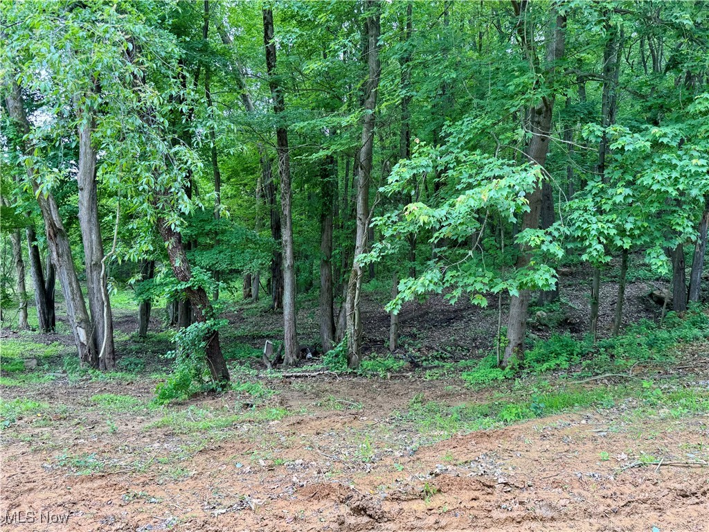 10100 Honda Hills Road, Thornville, Ohio image 35