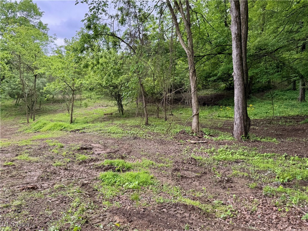 10100 Honda Hills Road, Thornville, Ohio image 30