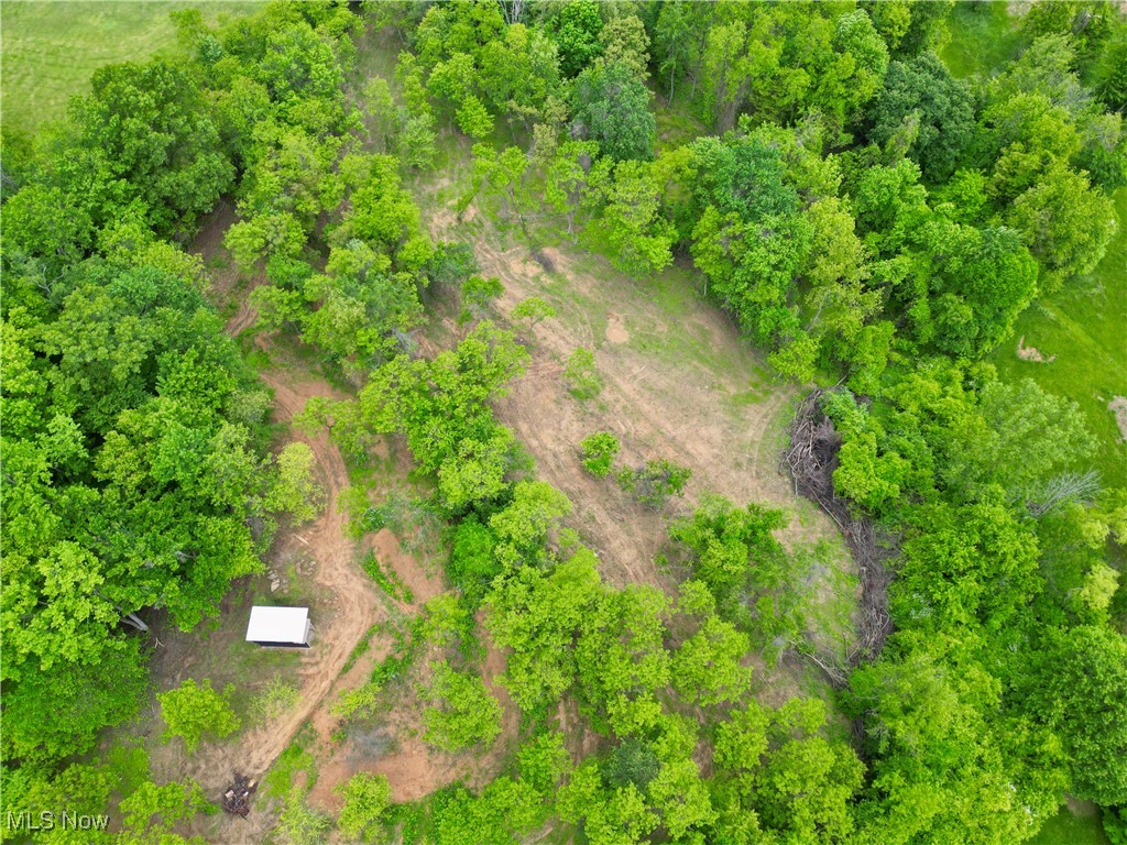 10100 Honda Hills Road, Thornville, Ohio image 16