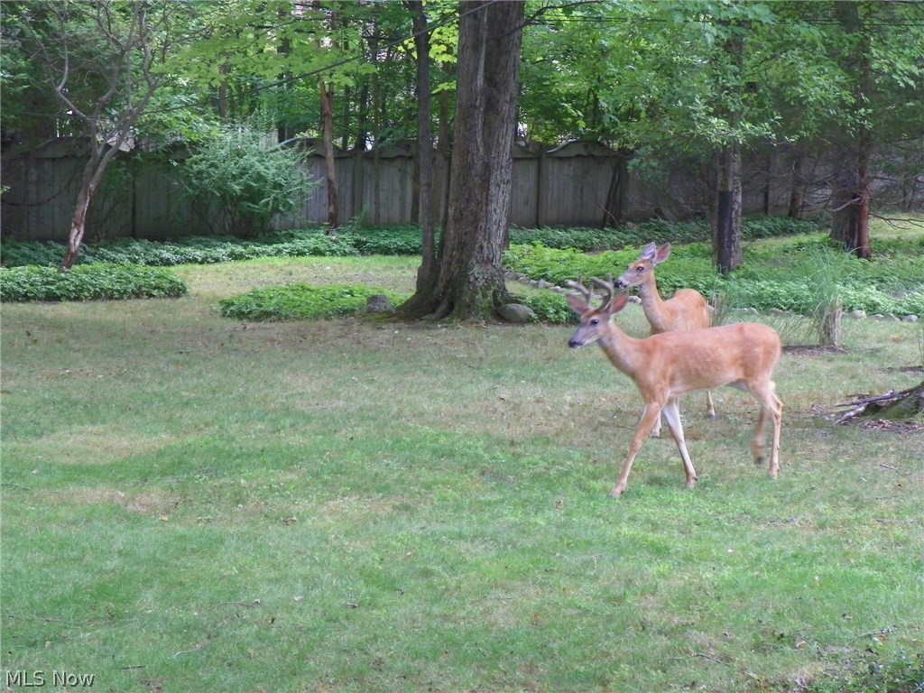 Sporli-Bilt Hms Inc Vly Park - Residential