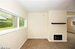 Richard Park Estates - Residential