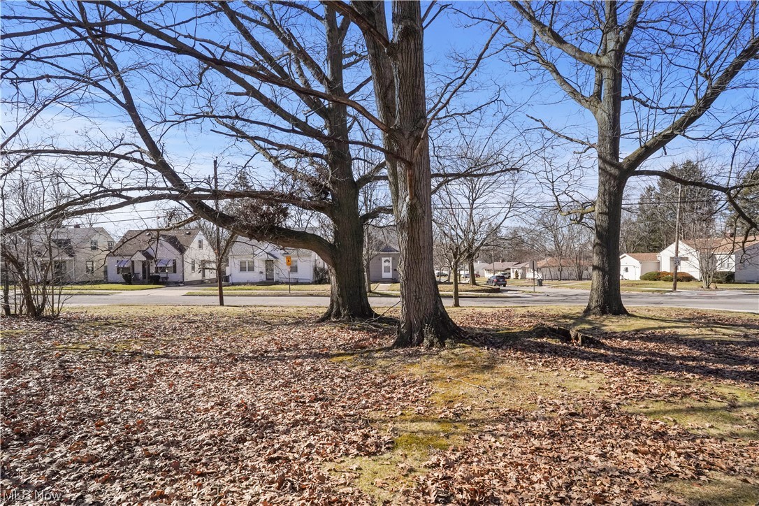 Orchard Grove - Residential