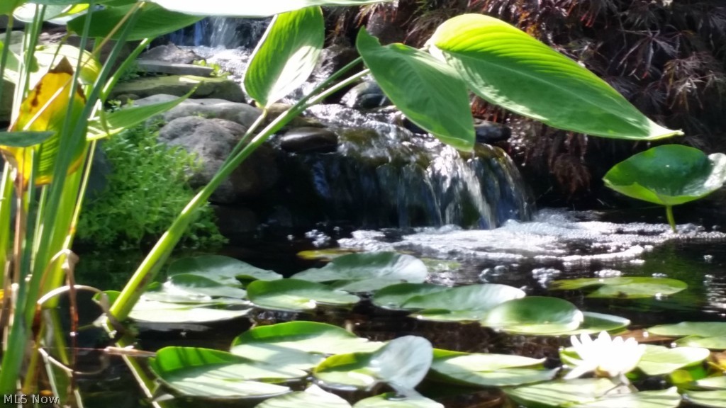 Orchard Park 02 - Residential