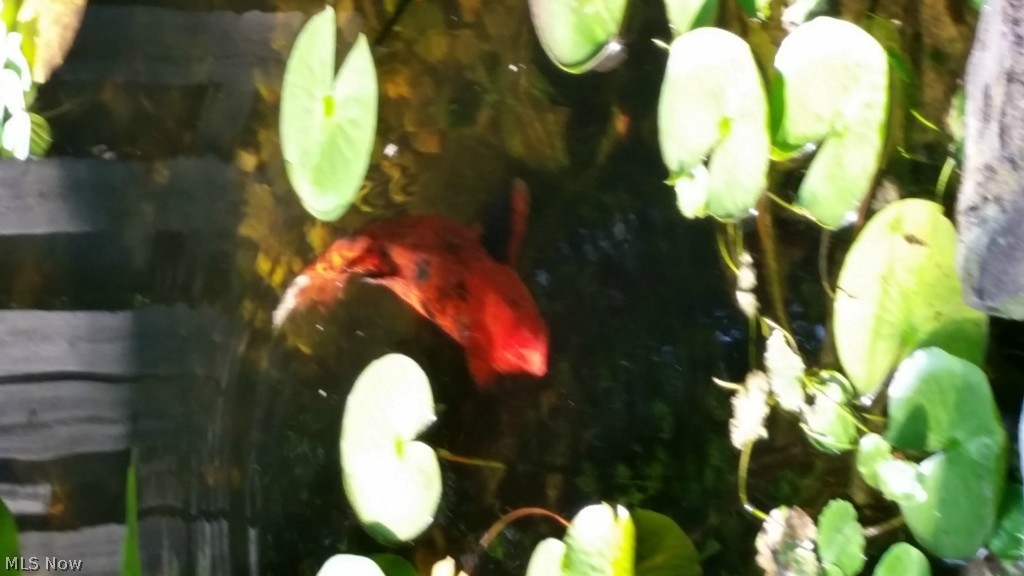 Orchard Park 02 - Residential