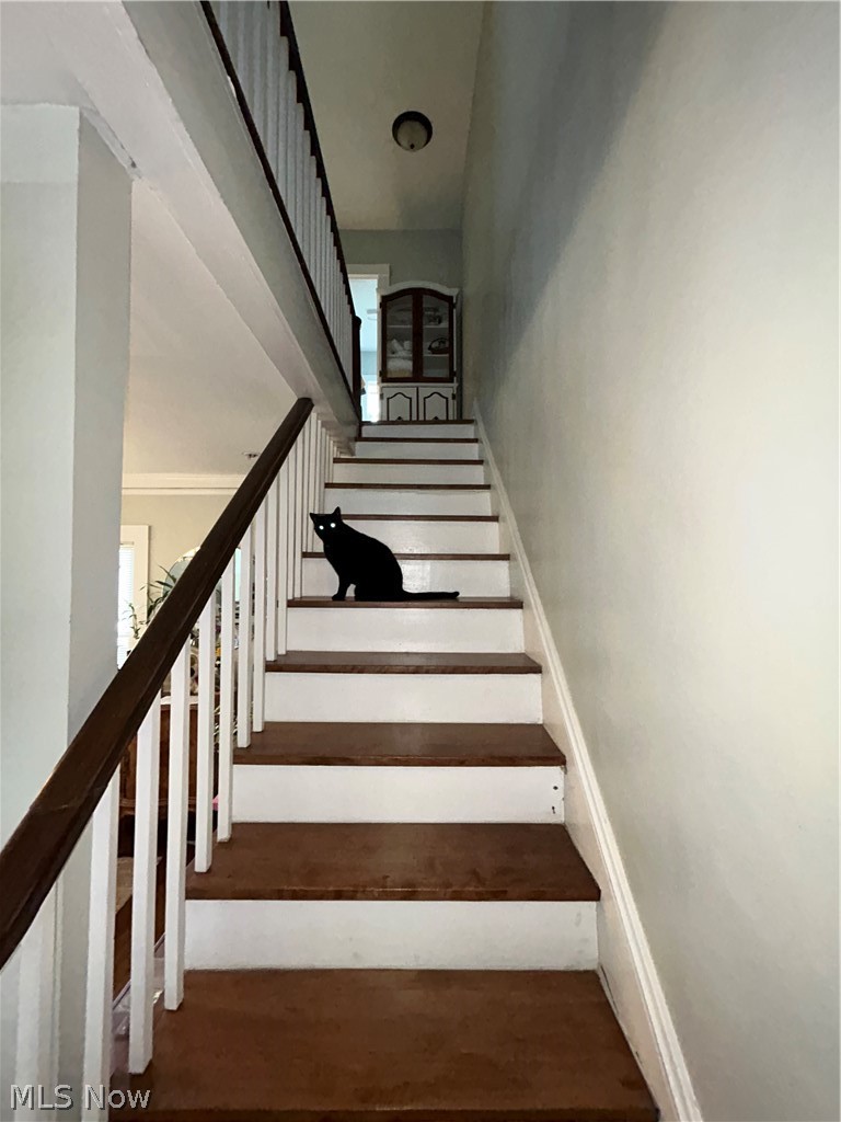 Edgewater - Residential Income