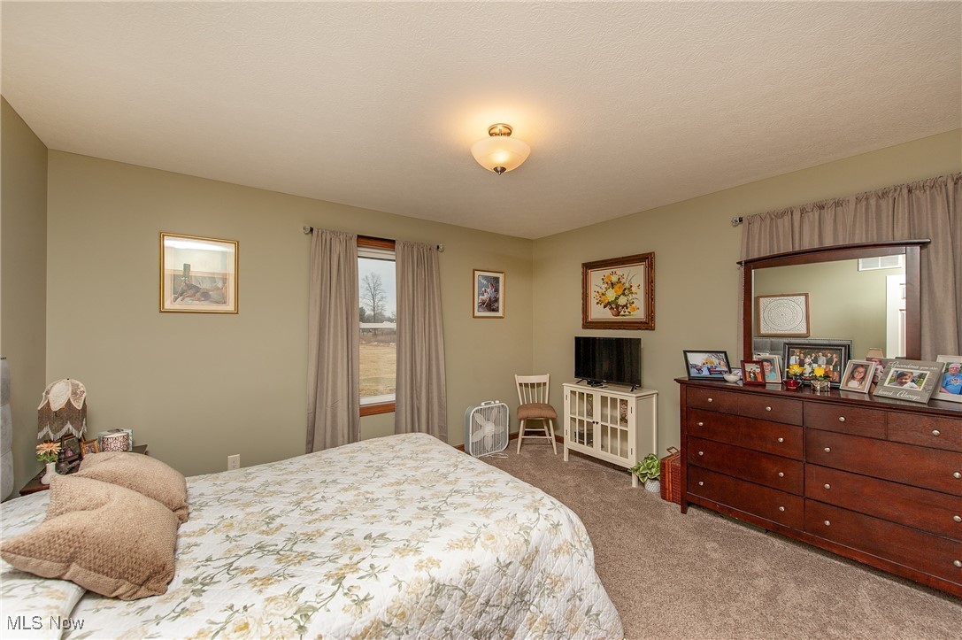 9345 Old Mill Road, Spencer, Ohio image 12