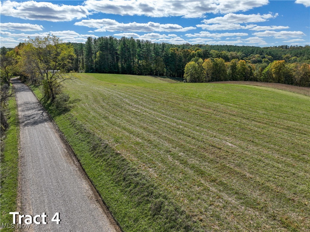 Crews Lane, Chesterhill, Ohio image 29