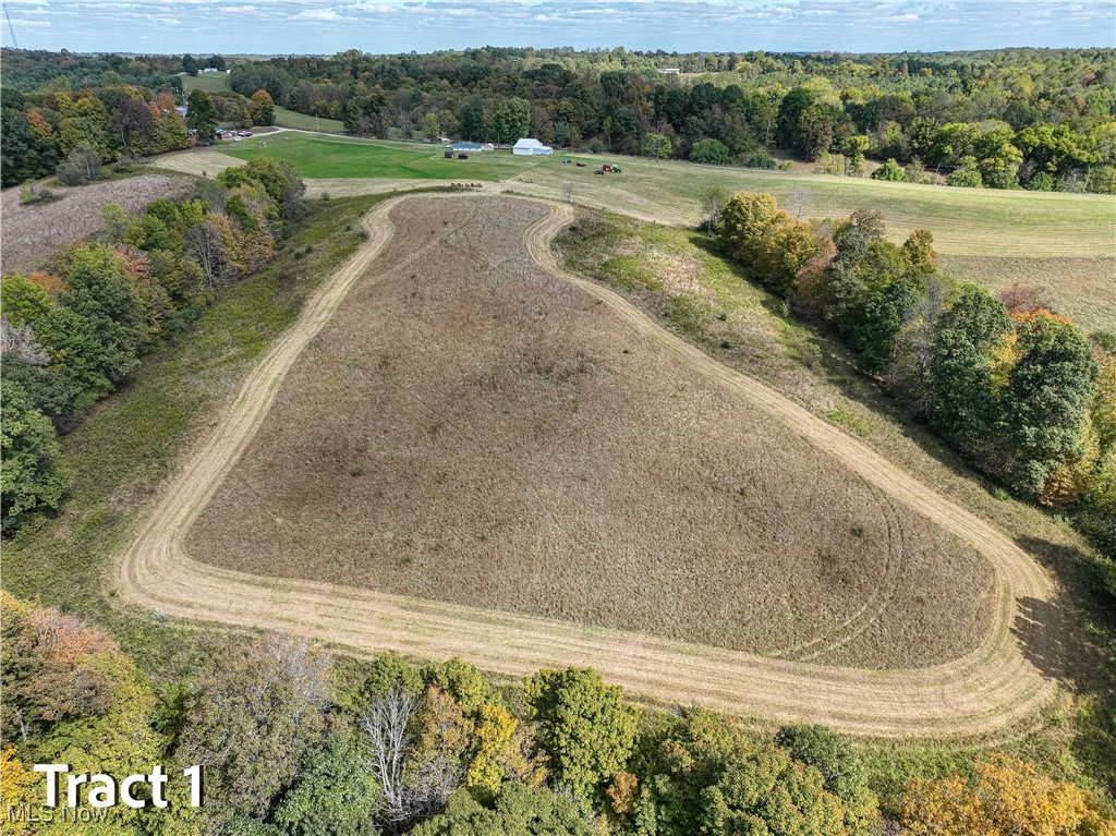 Crews Lane, Chesterhill, Ohio image 15