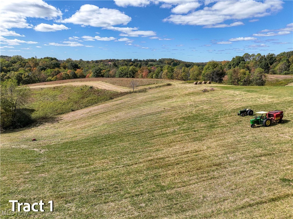 Crews Lane, Chesterhill, Ohio image 14