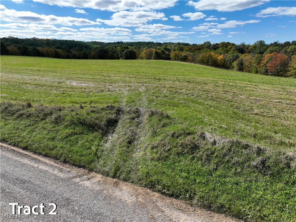 Crews Lane, Chesterhill, Ohio image 21