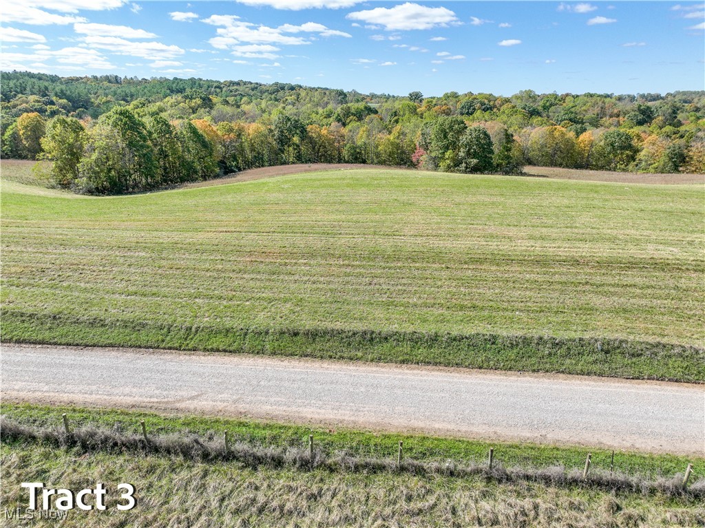 Crews Lane, Chesterhill, Ohio image 25